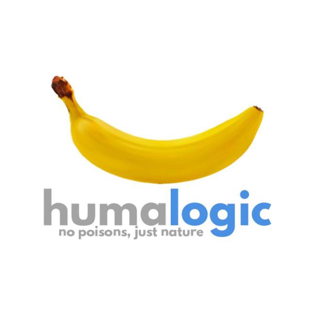 KindaBananas