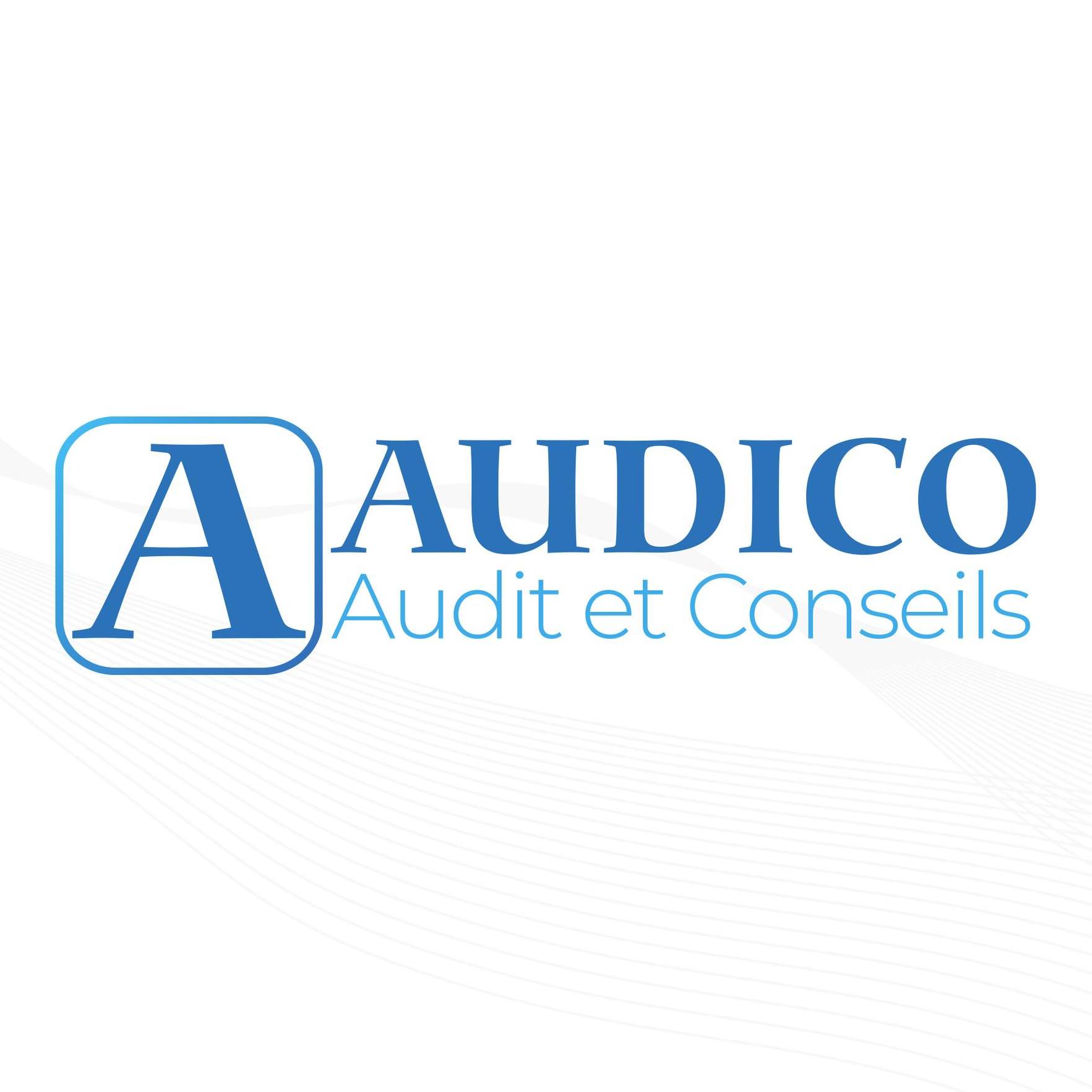 Audit et Conseils | Bali