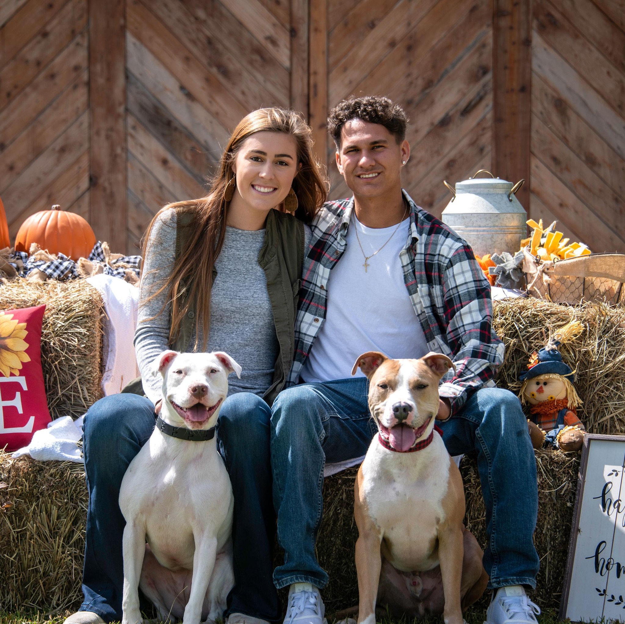 The Dog Barn