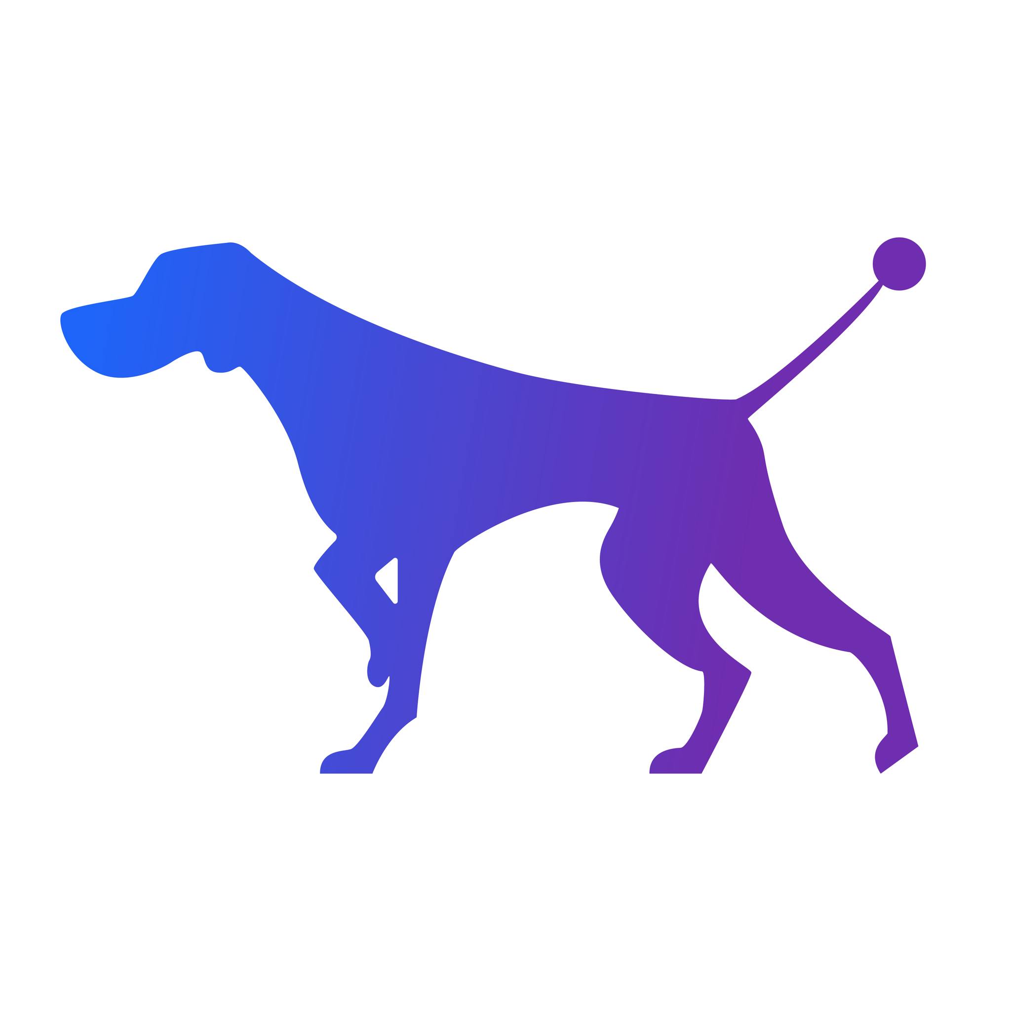 Pointer Systems | Pelileo