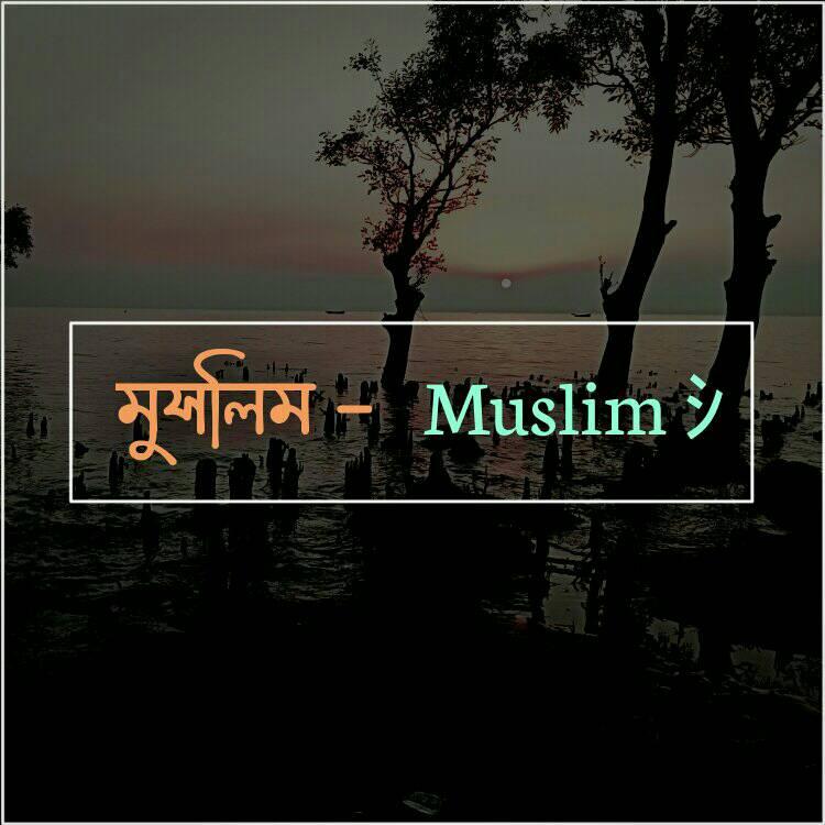Jaiful Islam Shahrom