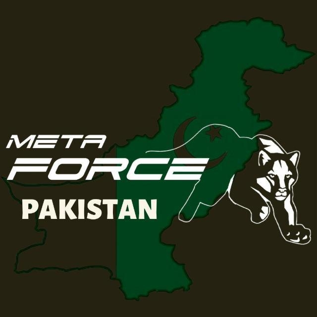 MetaForce