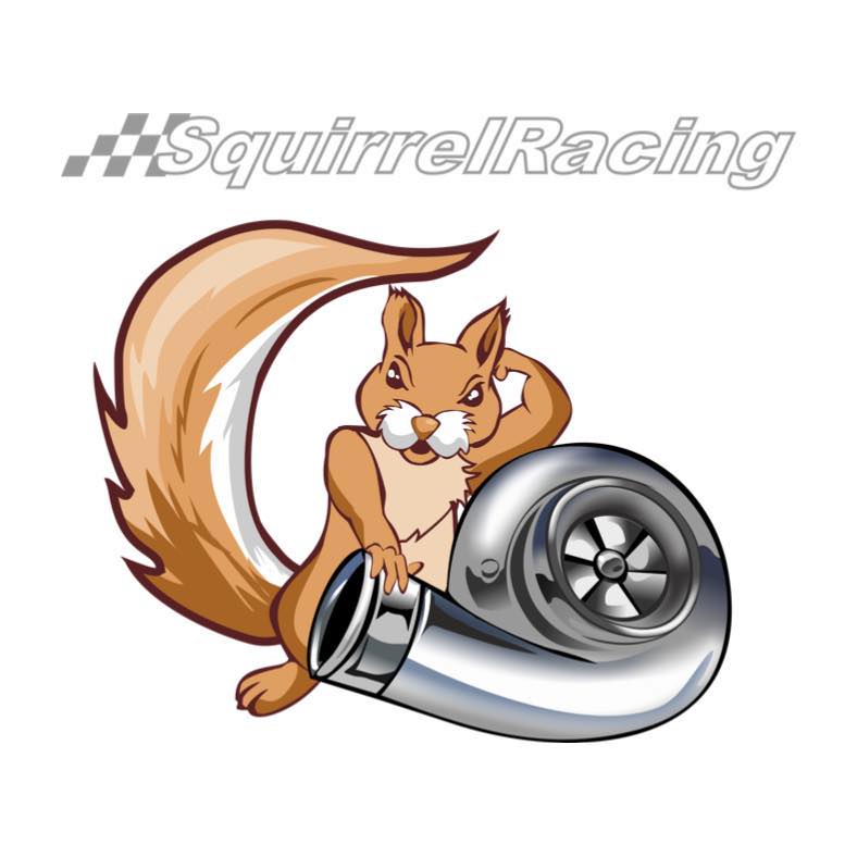 Squirrel Racing