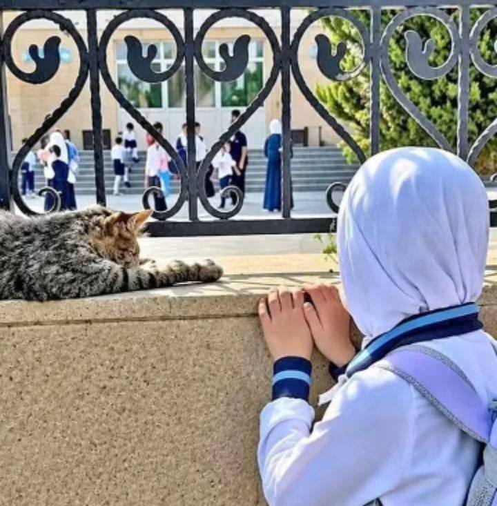 lran | #Saudi🇸🇦😂 | Facebook
