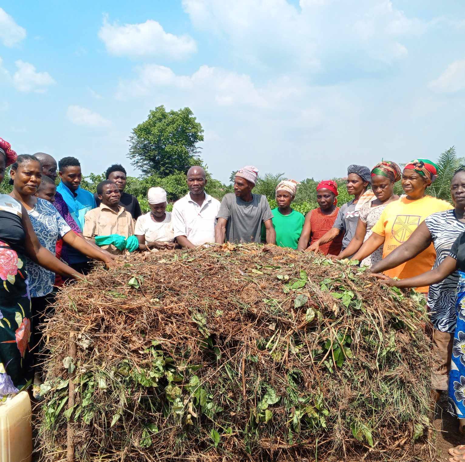 The Empowering Smallholder Farmers with Homemade Organic Pest and ...