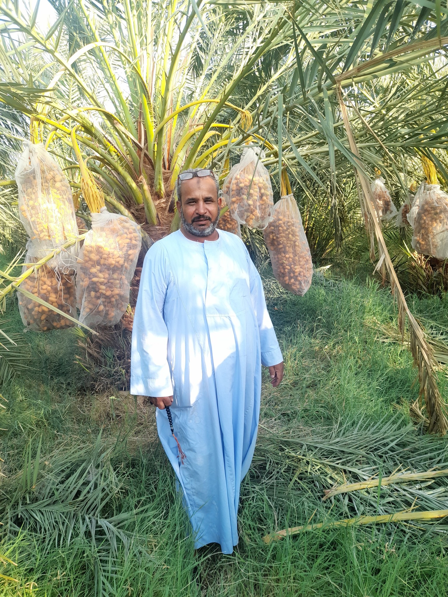 اراضى الوادي الجديد مصطفى كامل