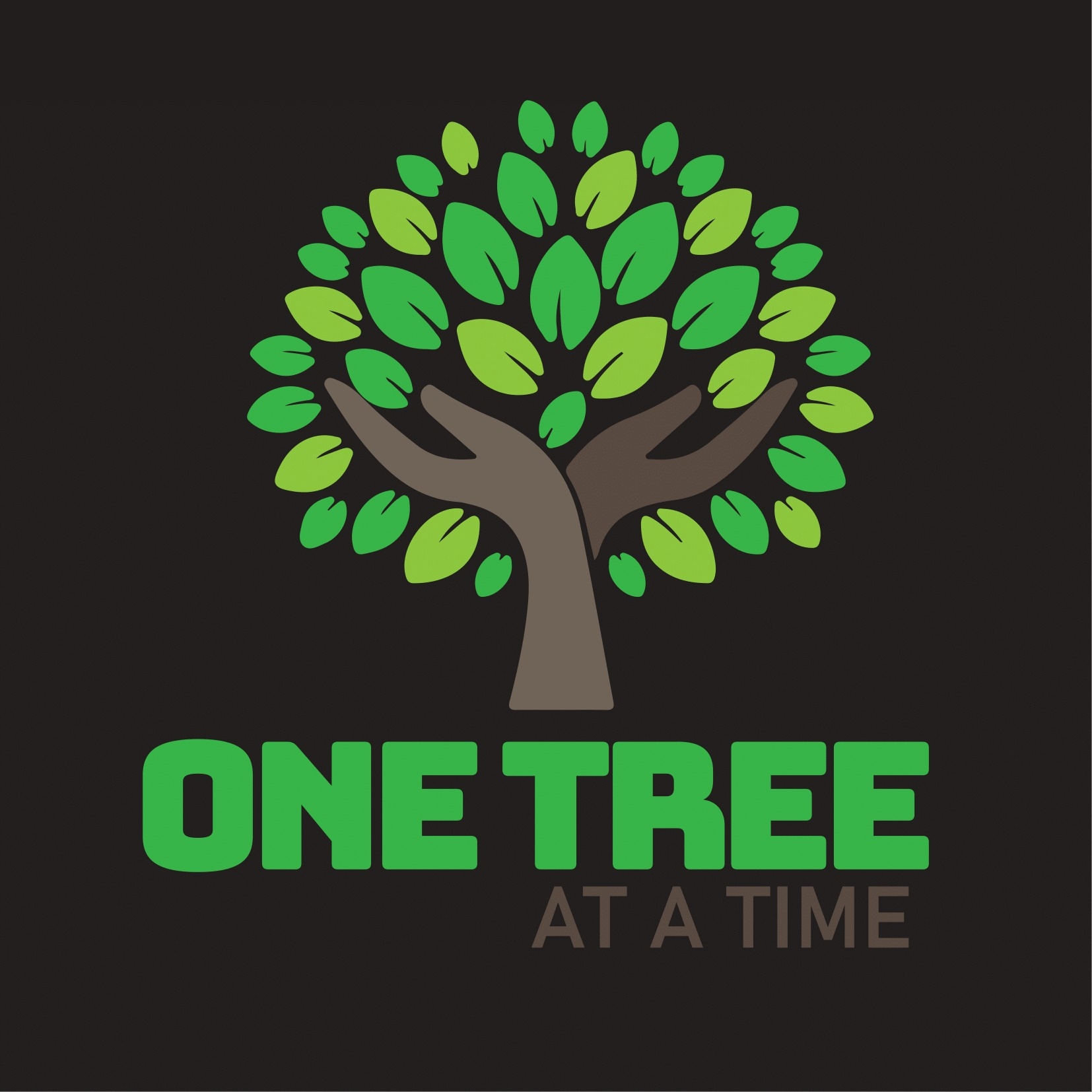 One Tree at A Time | Lusaka