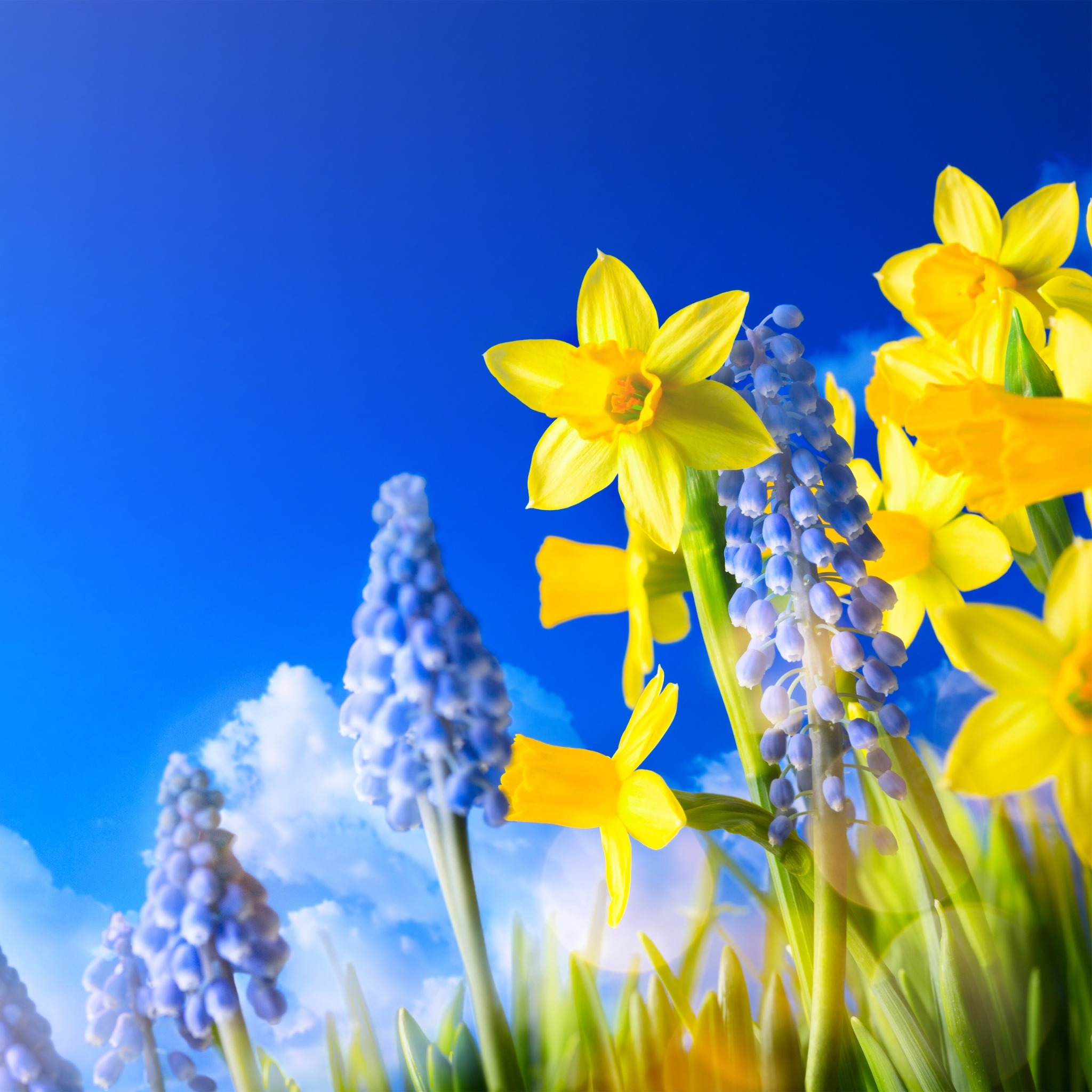 Springtime In My Soul