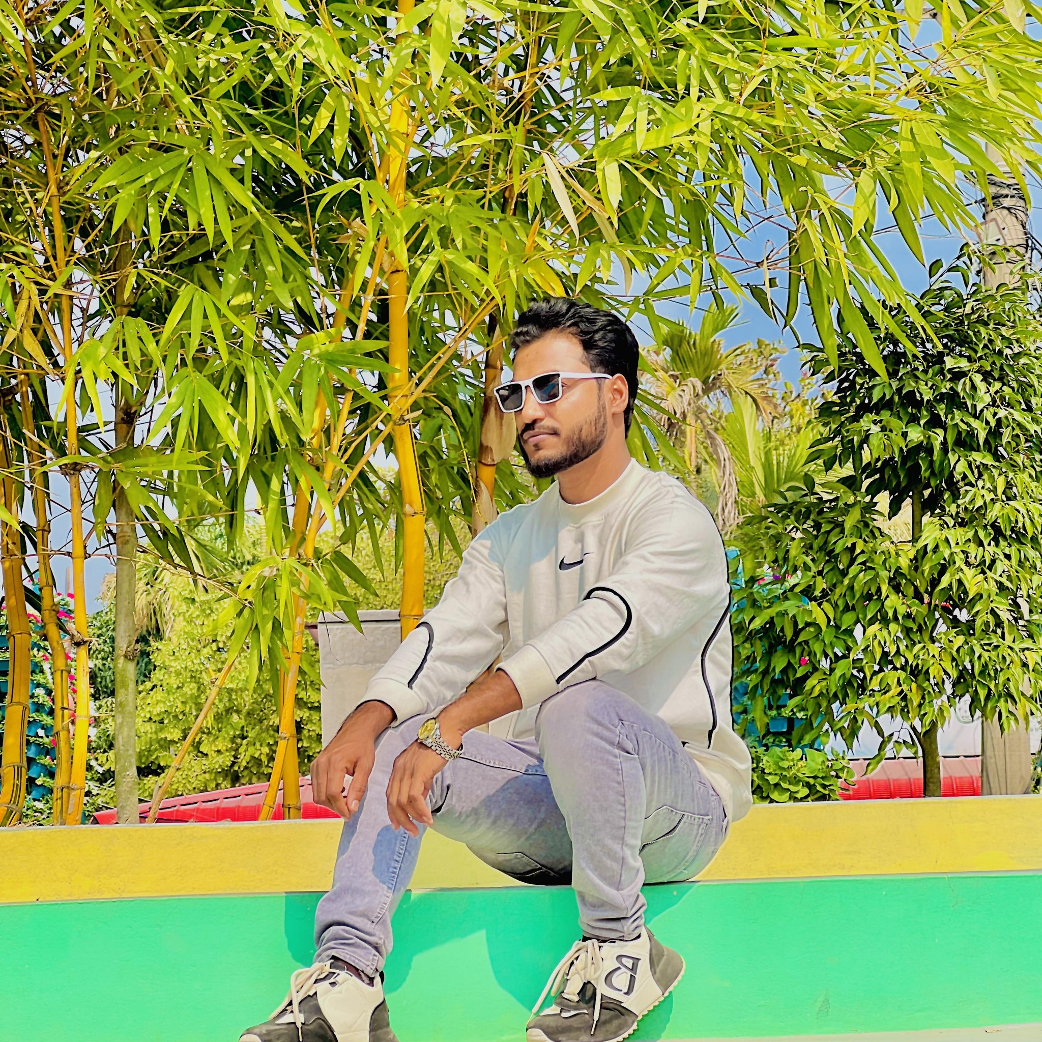Razib Hossain