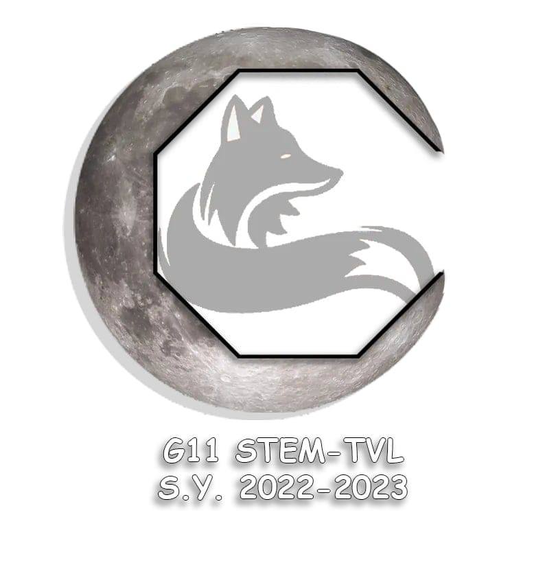 Stem-Tvl Funfox | Cavite