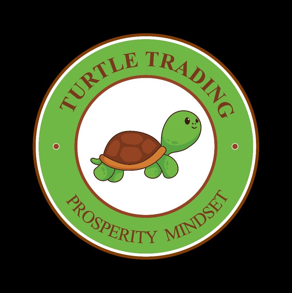 Lazy_Turtle | Pune