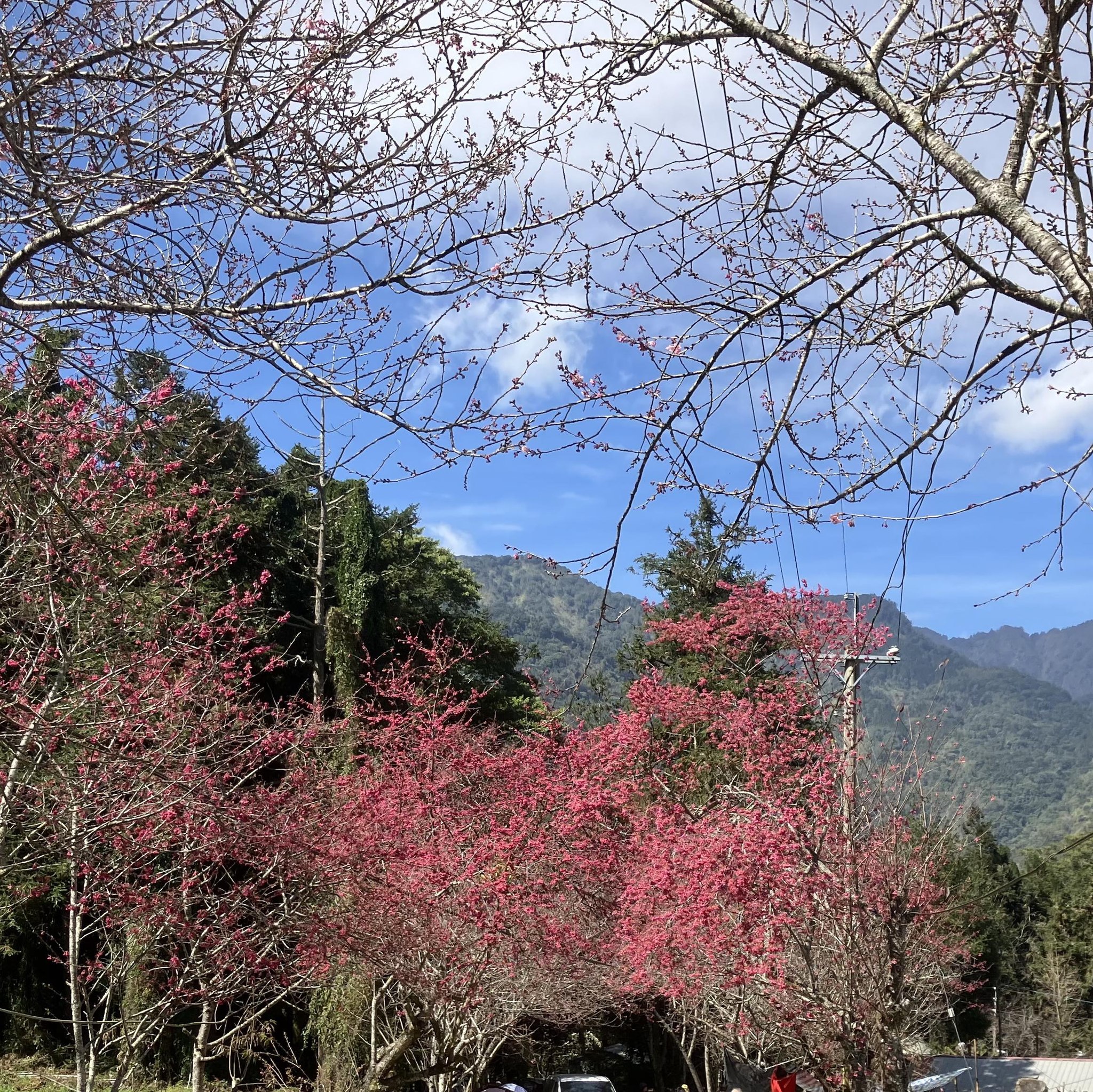 蔡言默 (@cai.yan.mo) • Facebook, Connect with friends