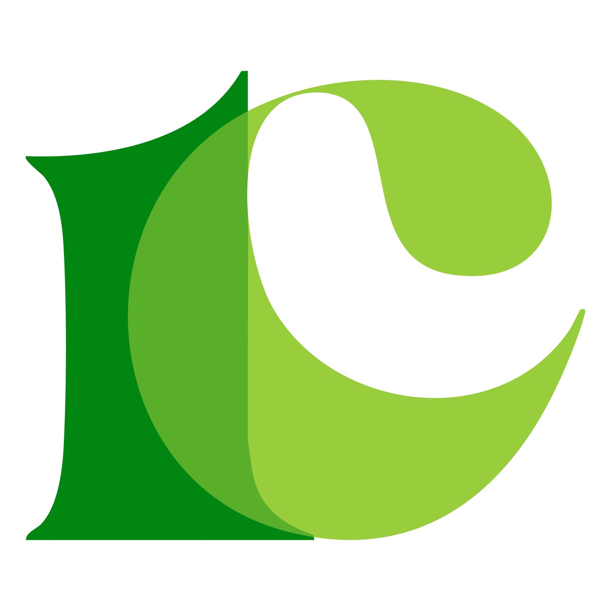 The Conci Group | Oldsmar FL