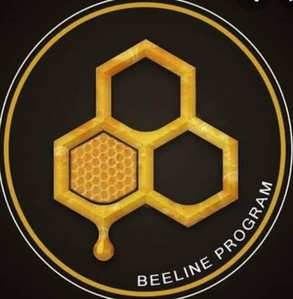 Beeline Program by Bridgette Brioso | Rodriguez