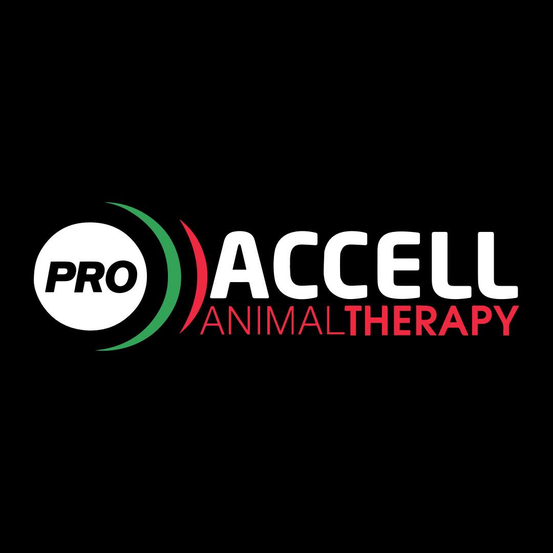Accell Therapy New Zealand