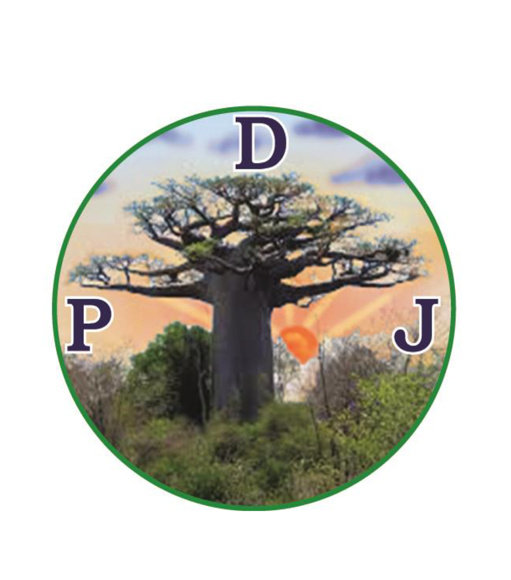 Parti pour la Démocratie et la Jeunesse - PDJ | Ouagadougou