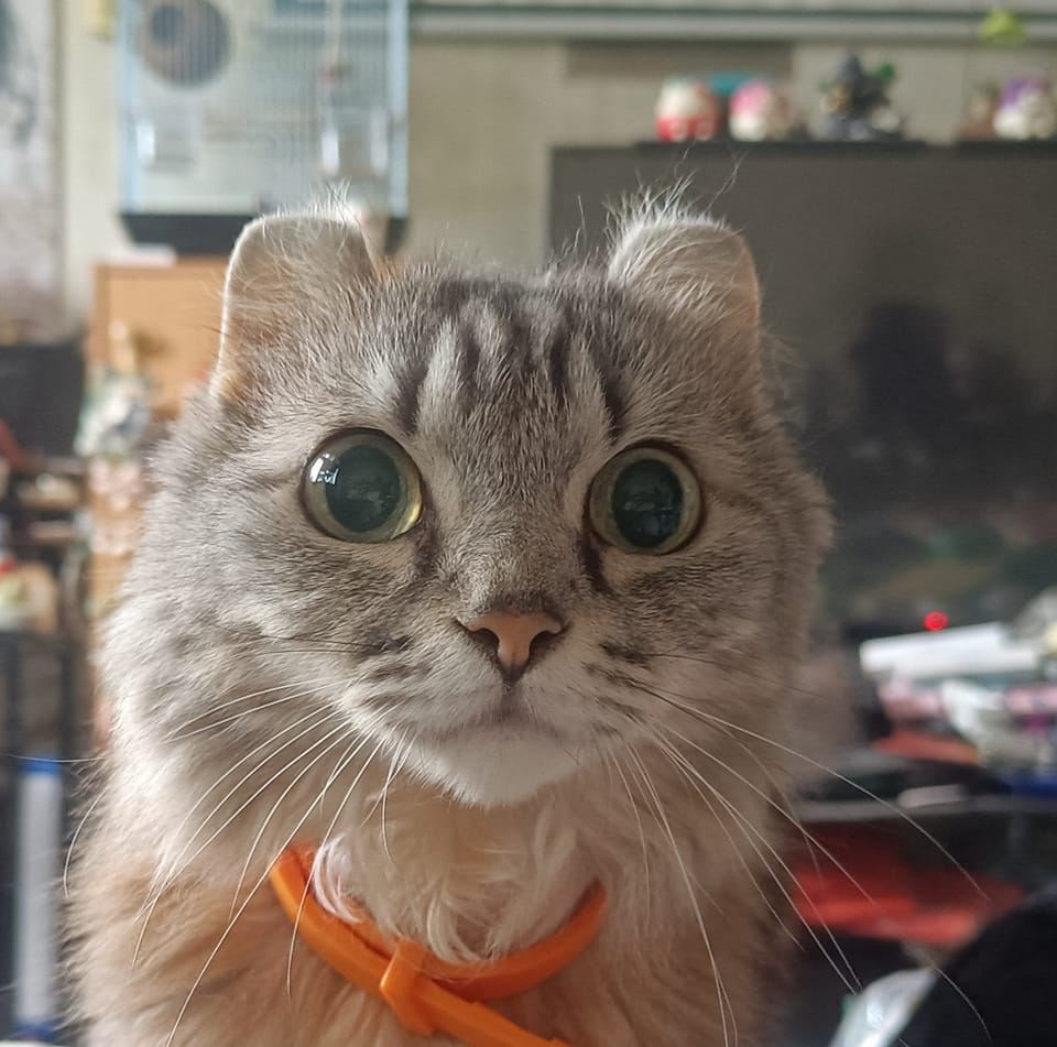 43歲八點檔男星王凱猝逝 原本還有《百味人生》通告... | ETtoday新聞雲