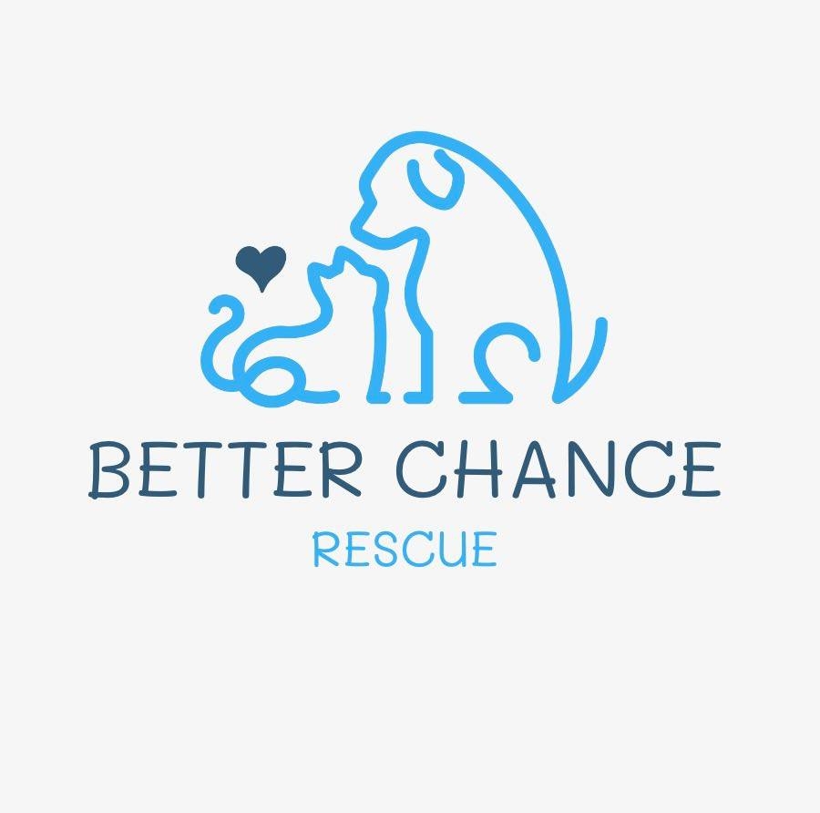 Better Chance Rescue | Mesa AZ