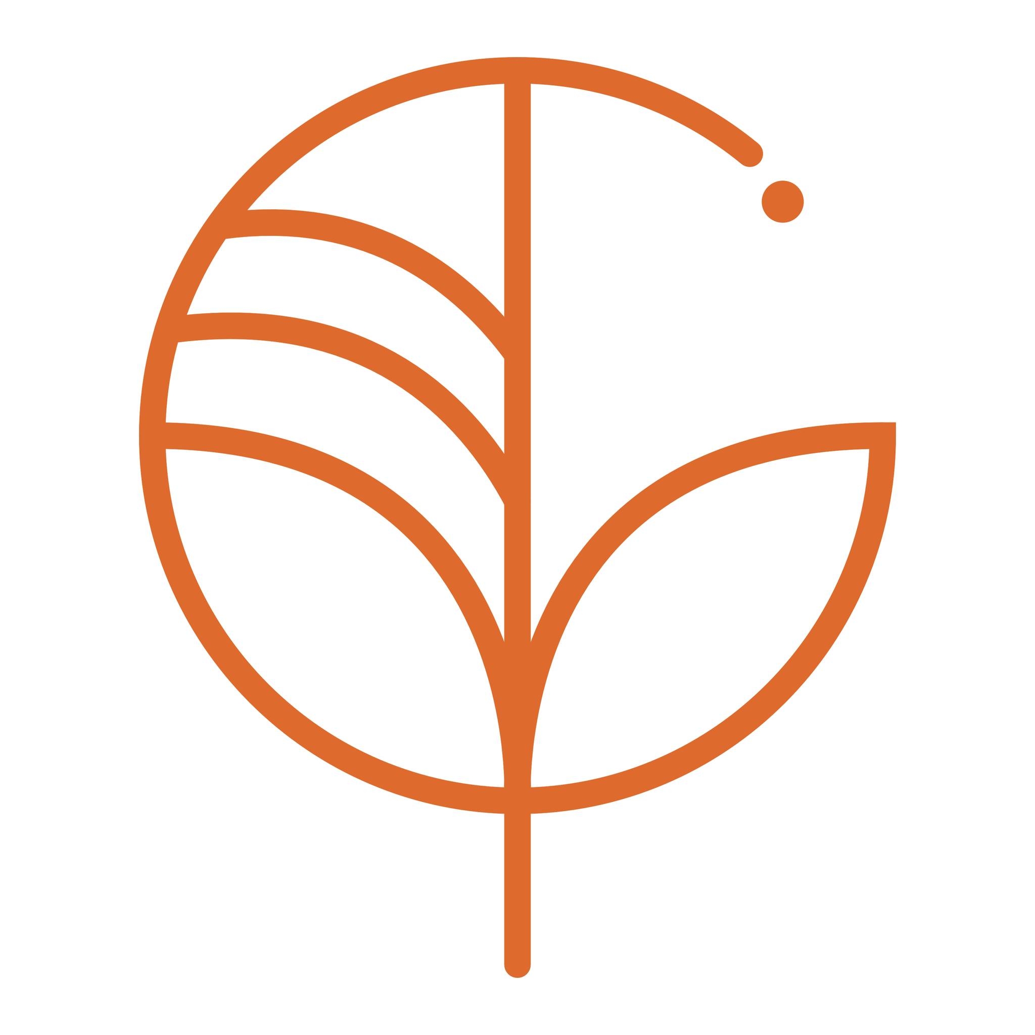Gecko Studio | Wellington