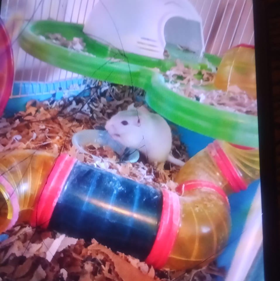 Vinnie Politan discusses the mysterious disappearance of Sebastian ...