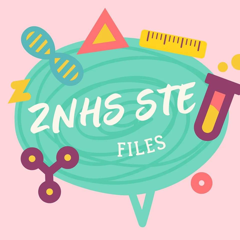 ZNHS STE FILES