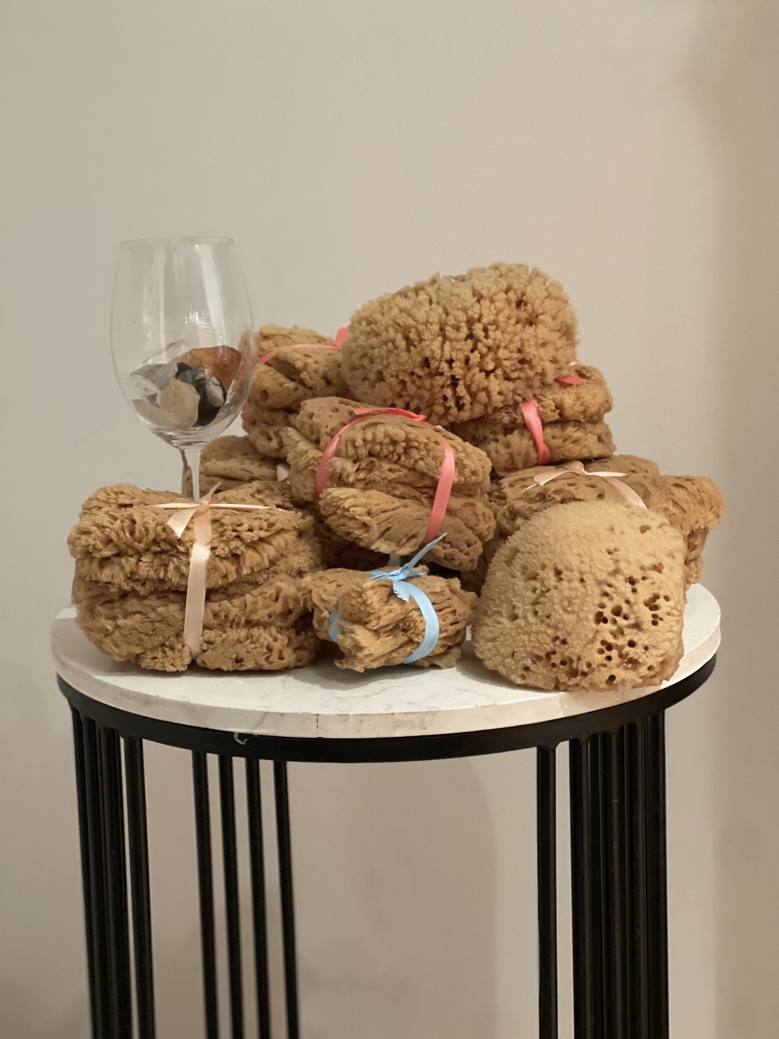Coral Reef Sea Sponges | Downtown Brooklyn NY