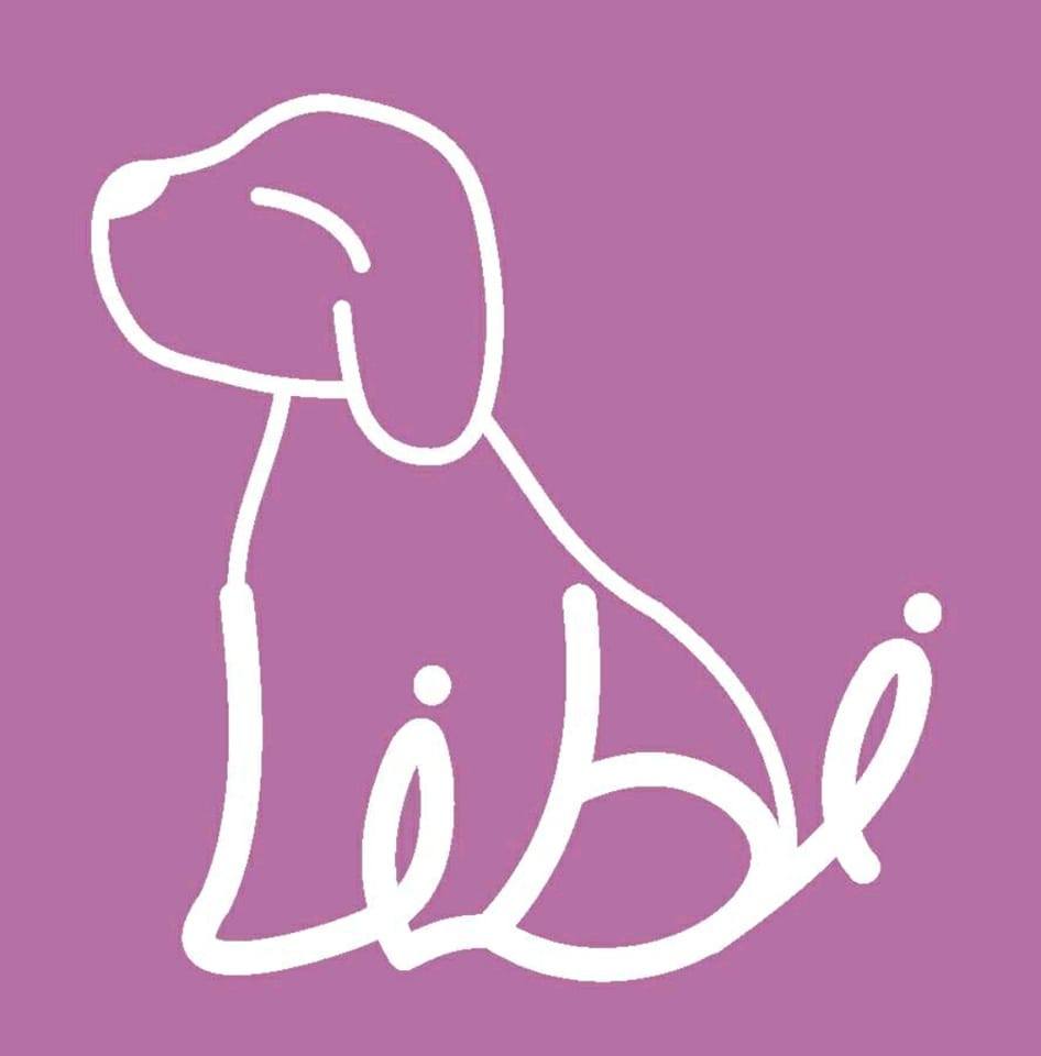BRUNO SHIH TZU PUPPY CUTE HAIR CUT AND BATH FUR MAINTENANCE AT PET SPA ...