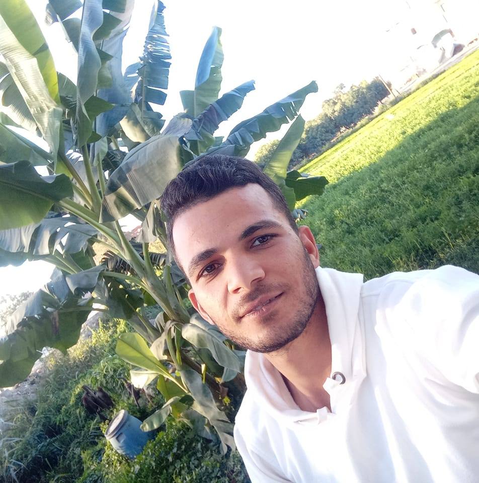 عمر المصري