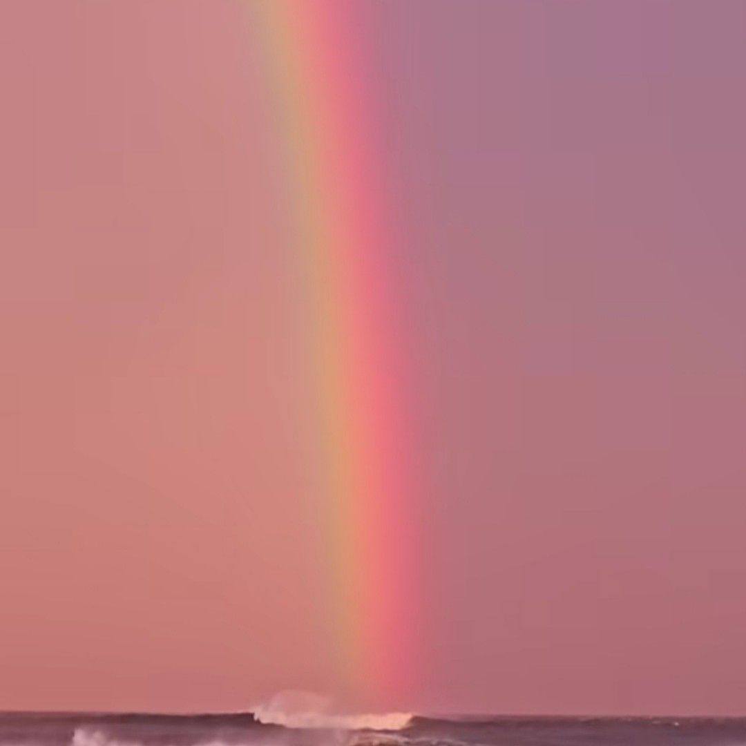 The 