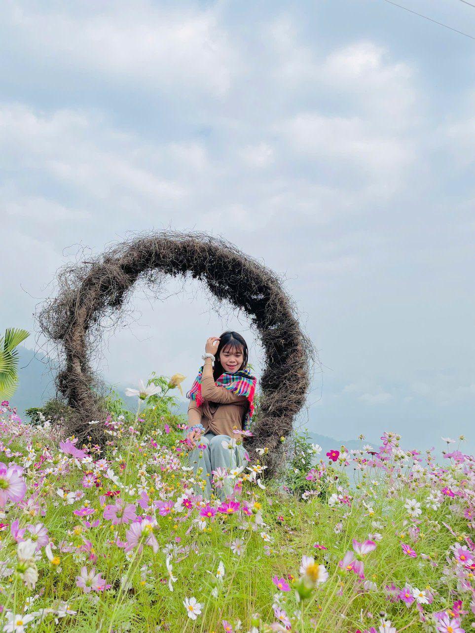 Nồi cá chép nấu với rau thối😁 | Hợp Lý