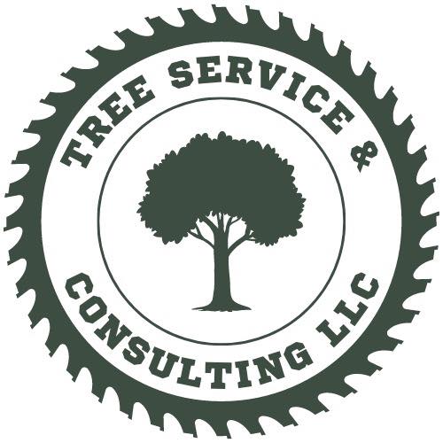 Tree Service & Consulting LLC | Austin TX