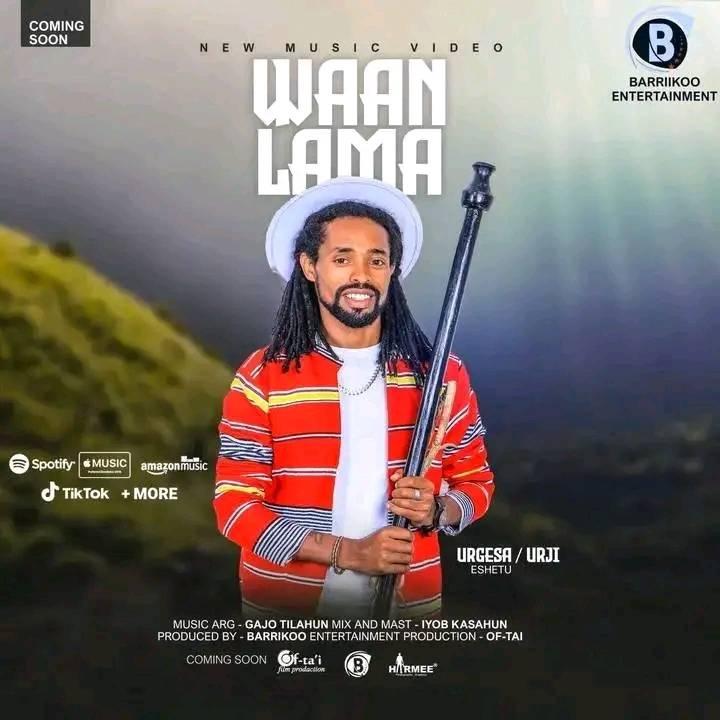 Sabboona oromoo | K'obo