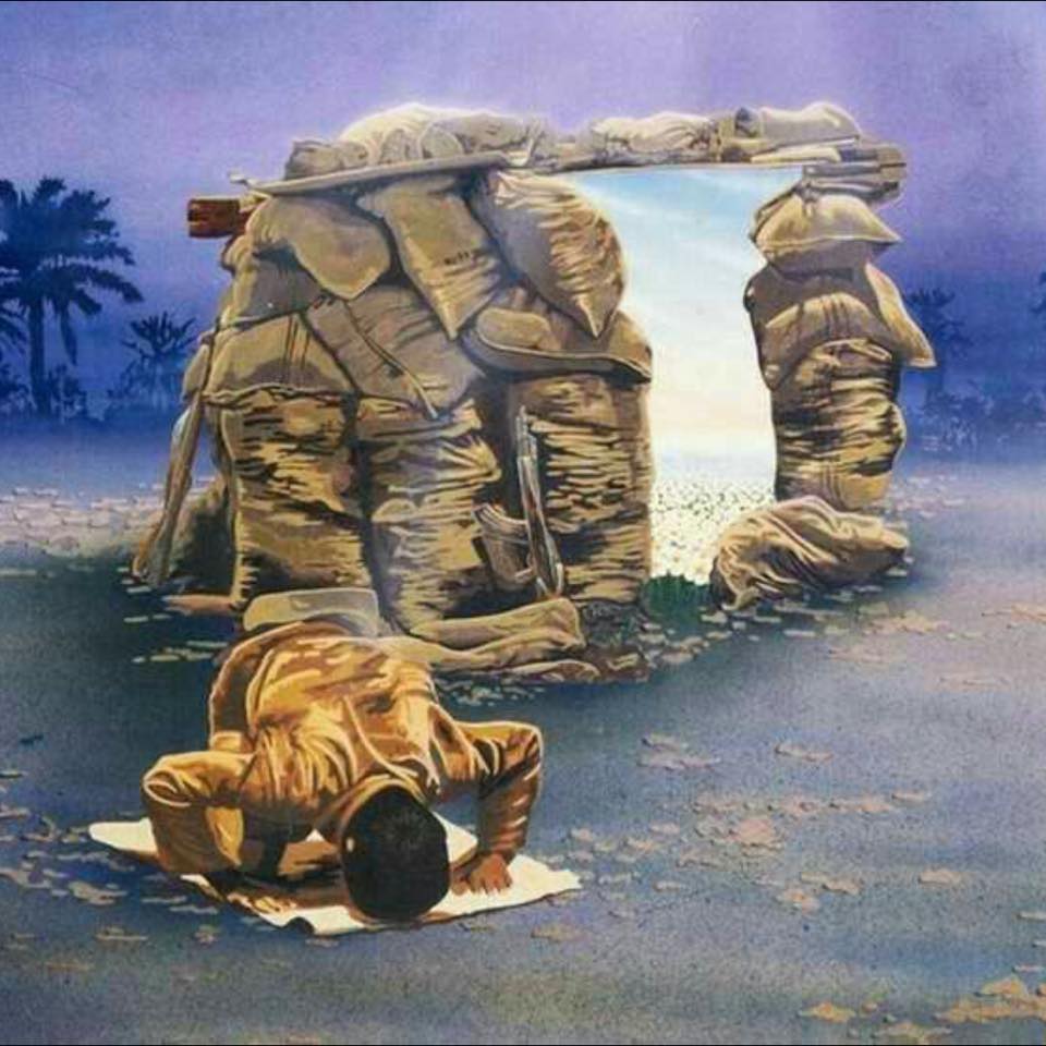 طالوت الشروگي
