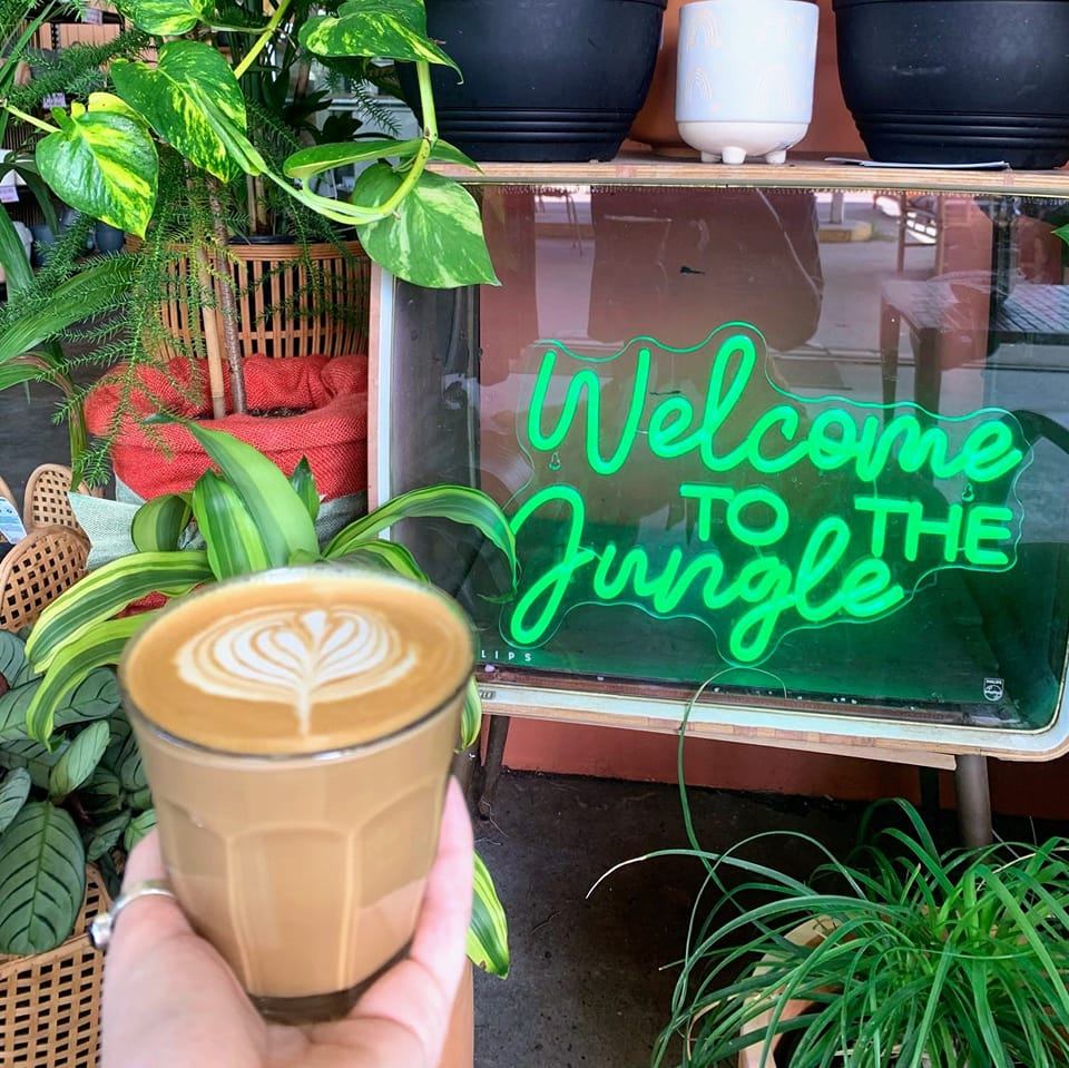 Habitat Coffee House | Bellingen NSW