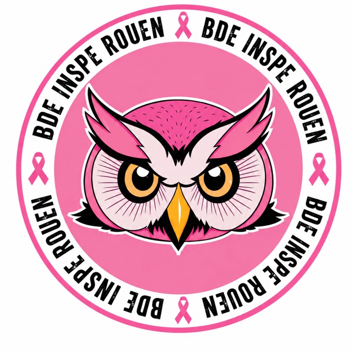 Bde Inspe Rouen