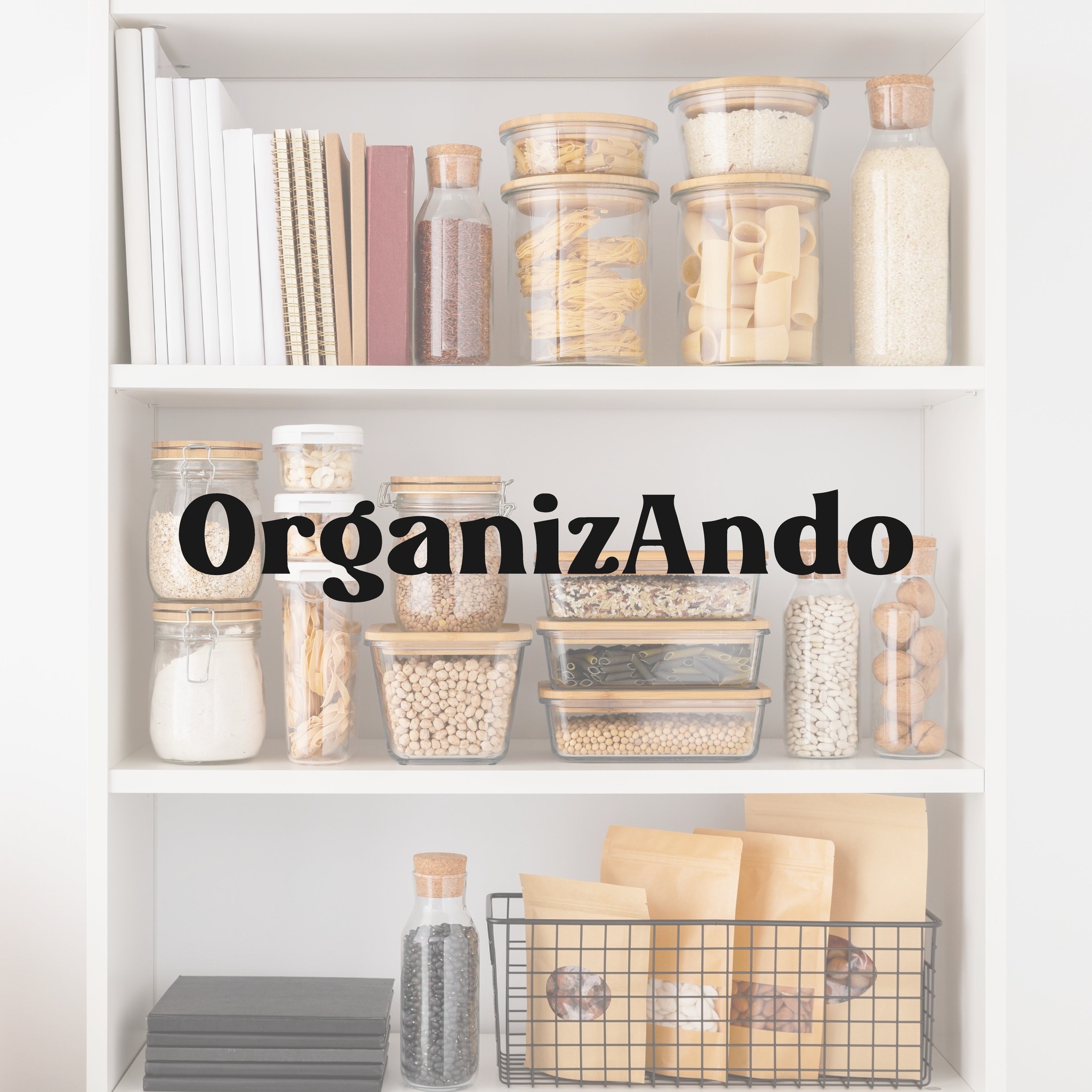 OrganizAndo