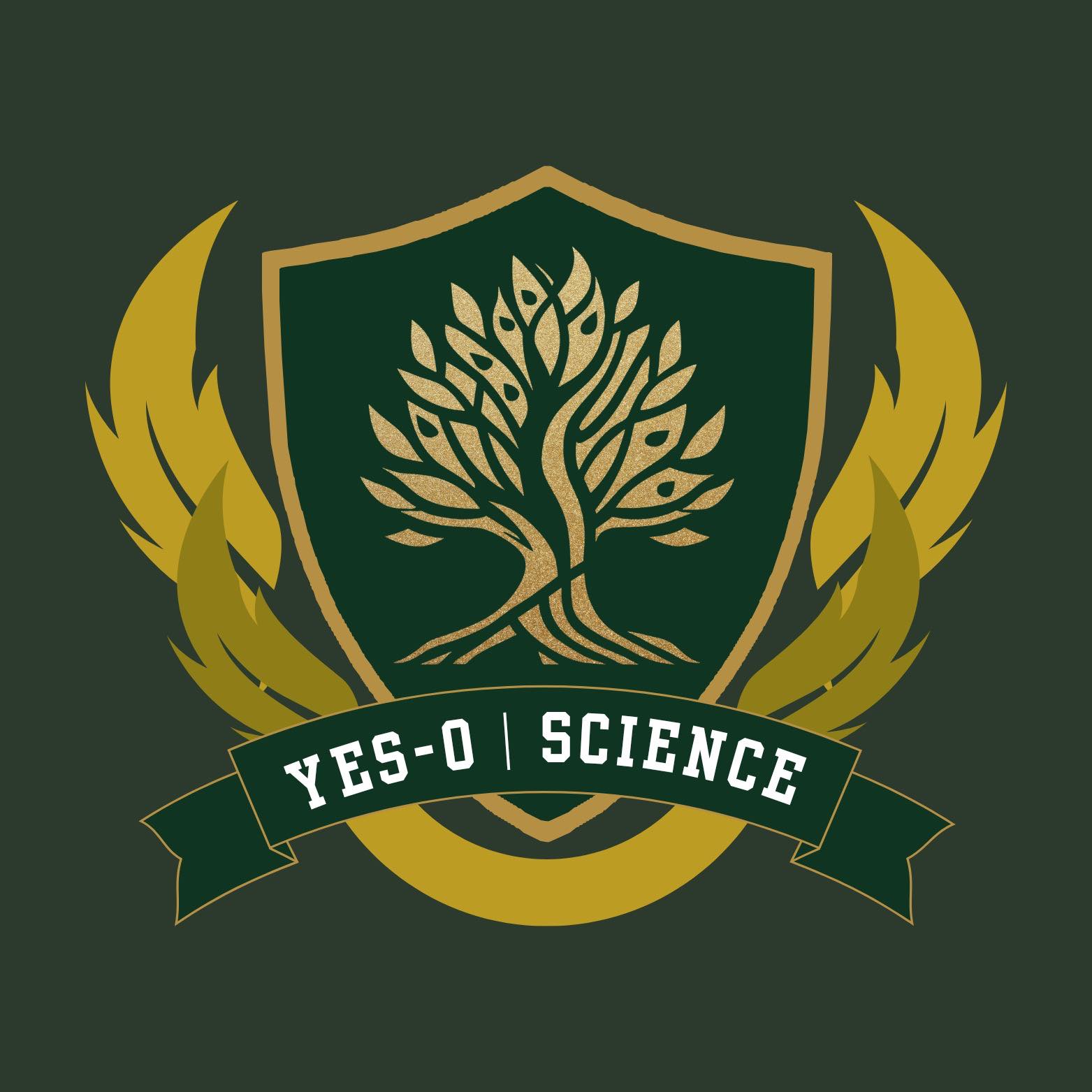 RNHS SHS - Science and Youth for Environment in Schools - Organization ...