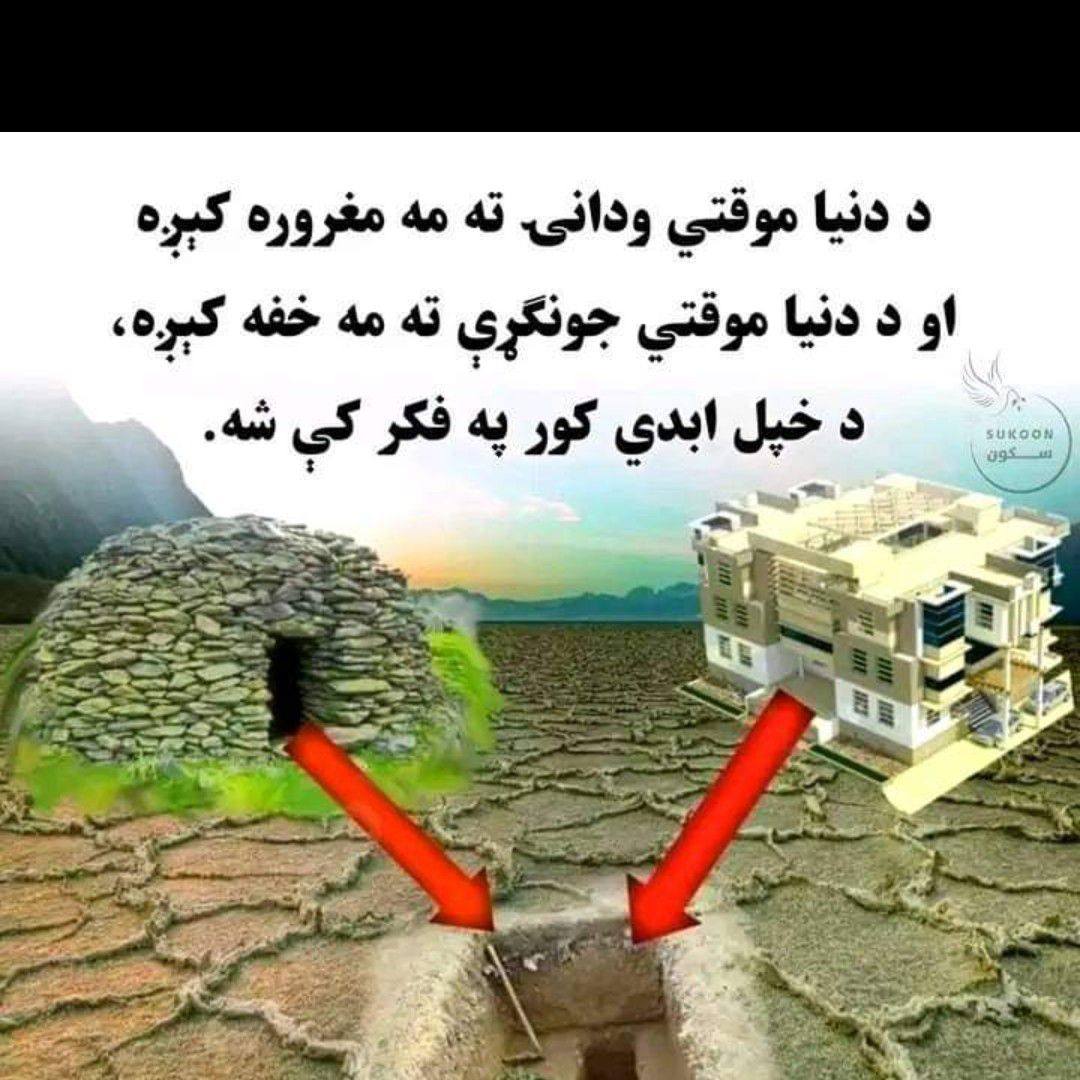 qari-hazbullah-qari