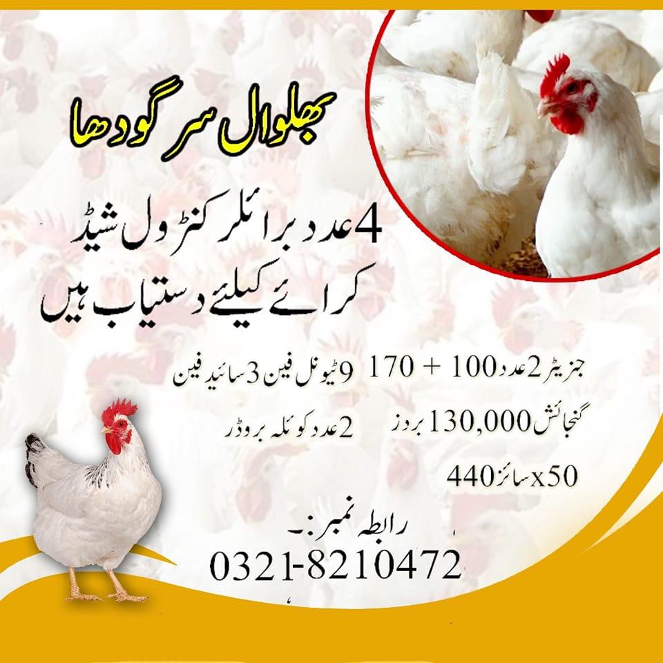 Poultryshed | Sargodha