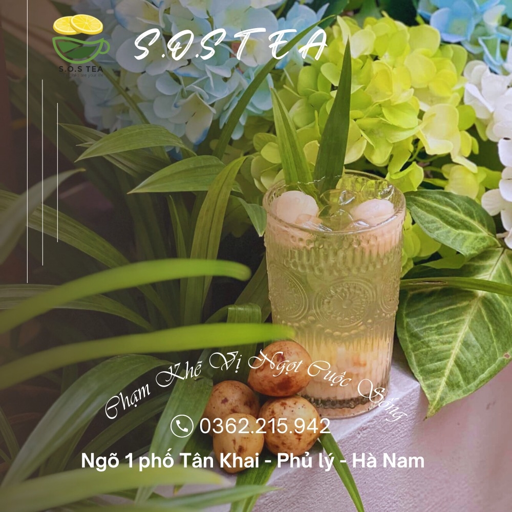 S.O.S TEA | Ha-Nam