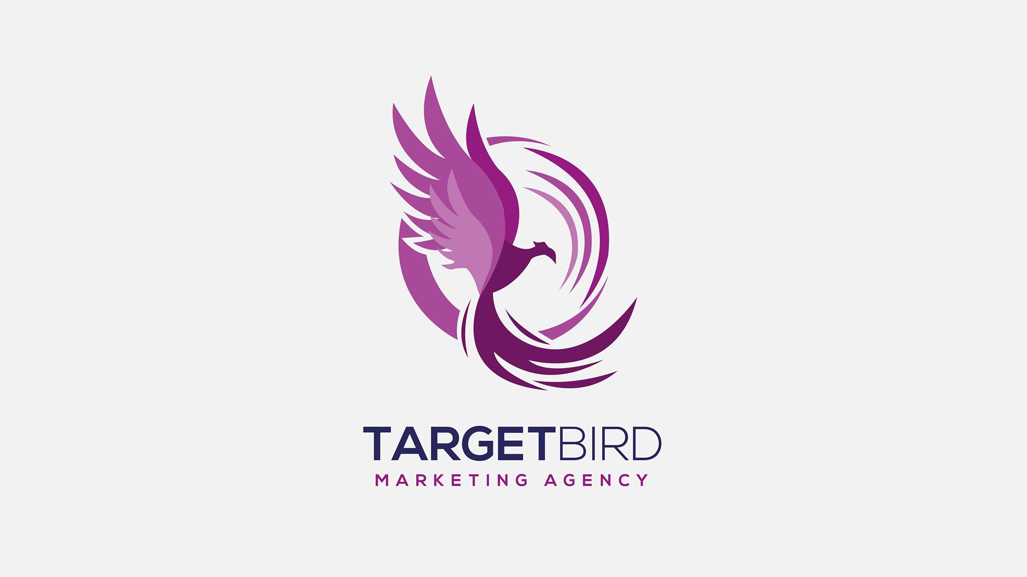 Target Bird Agency Egypt | Cairo