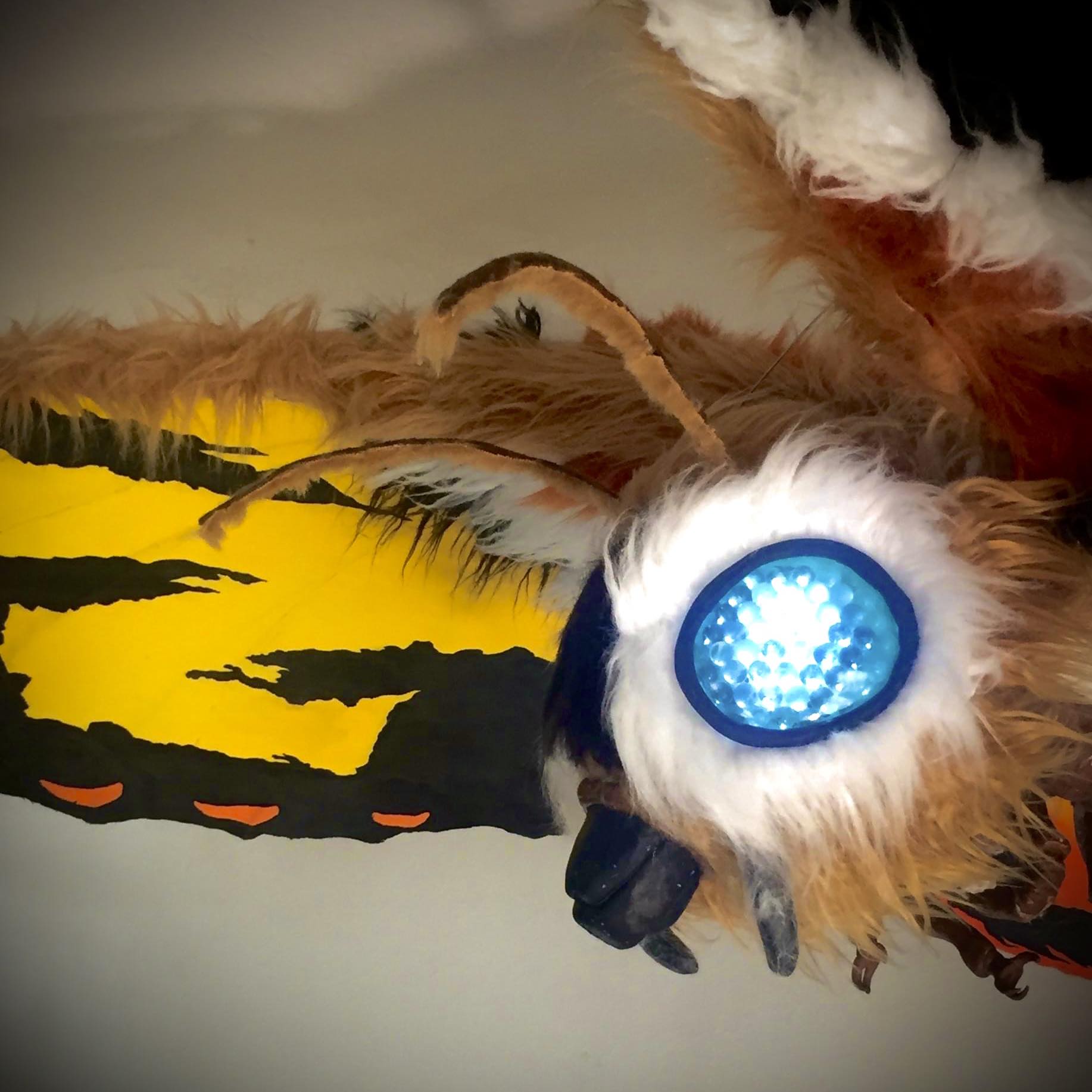 Project MOTH