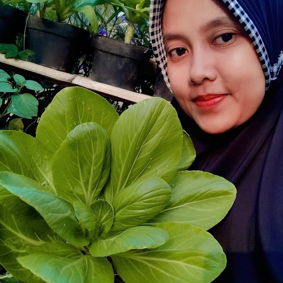 Cara membuat rak dinding sederhana cocok untuk berkebun di lahan ...