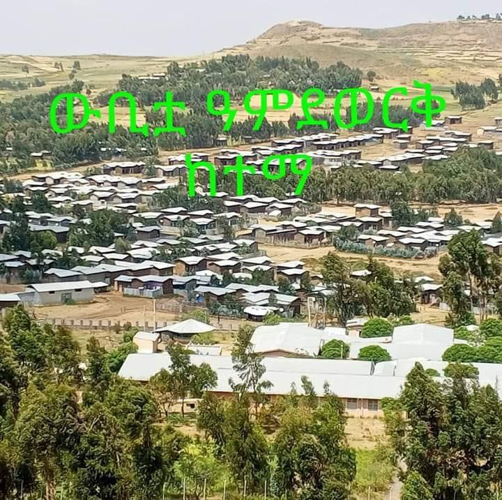 የዓምደወርቅ ከ/አስ/ር ሀገር አቀፍ የገቢ ማሰባሰቢያ/ቴሌቶን ገጽ