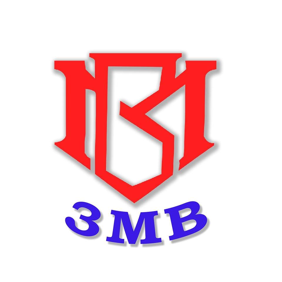 3MB