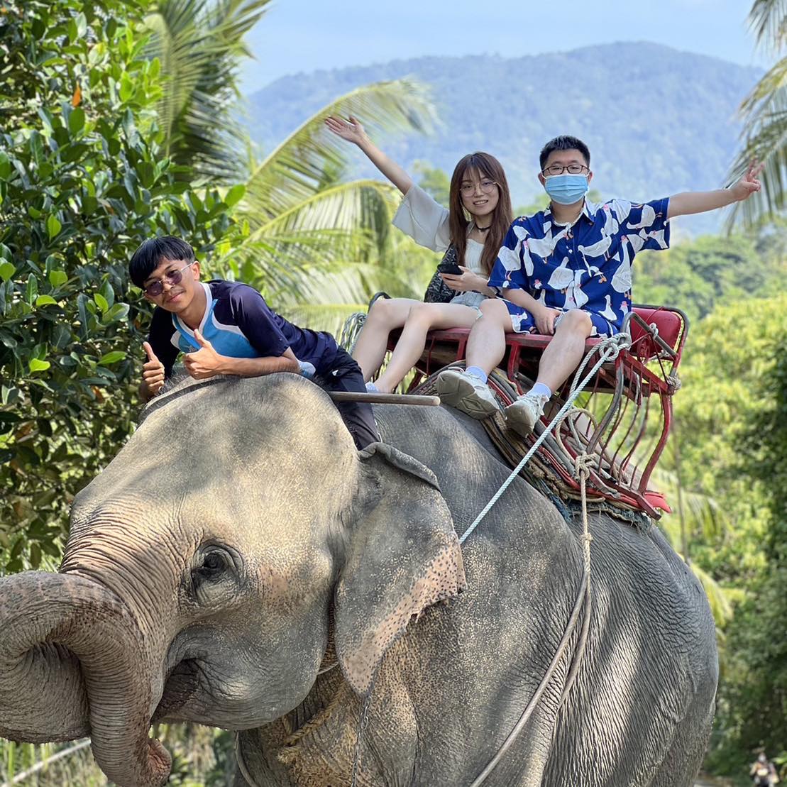 Phuket Elephant Riding Tour