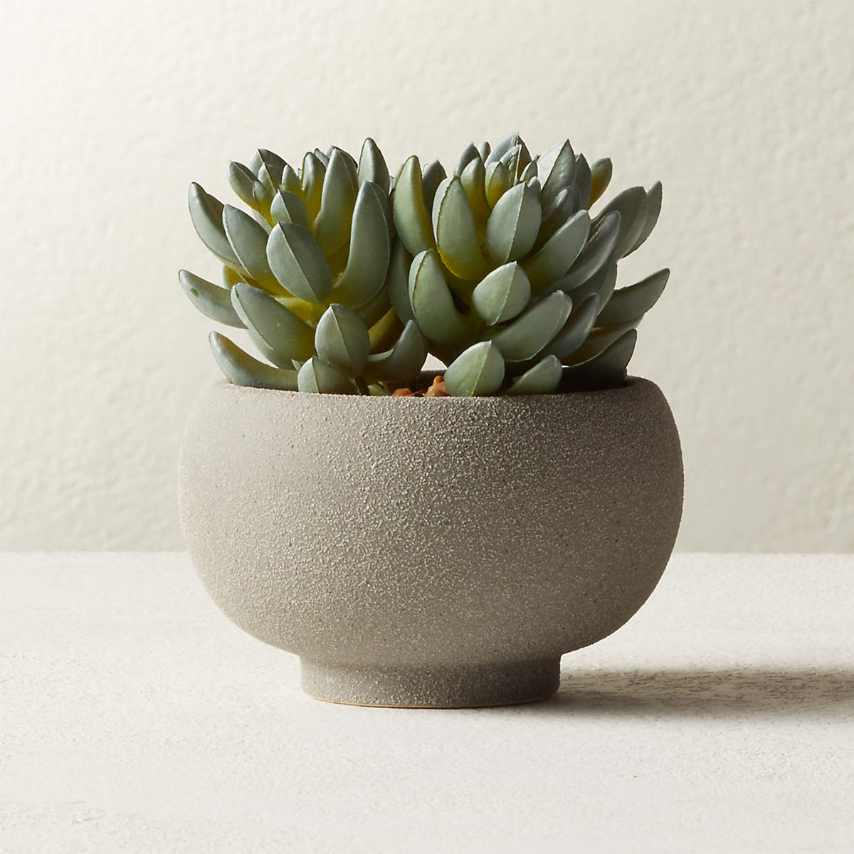 Pretty Functional | Colorado Springs CO