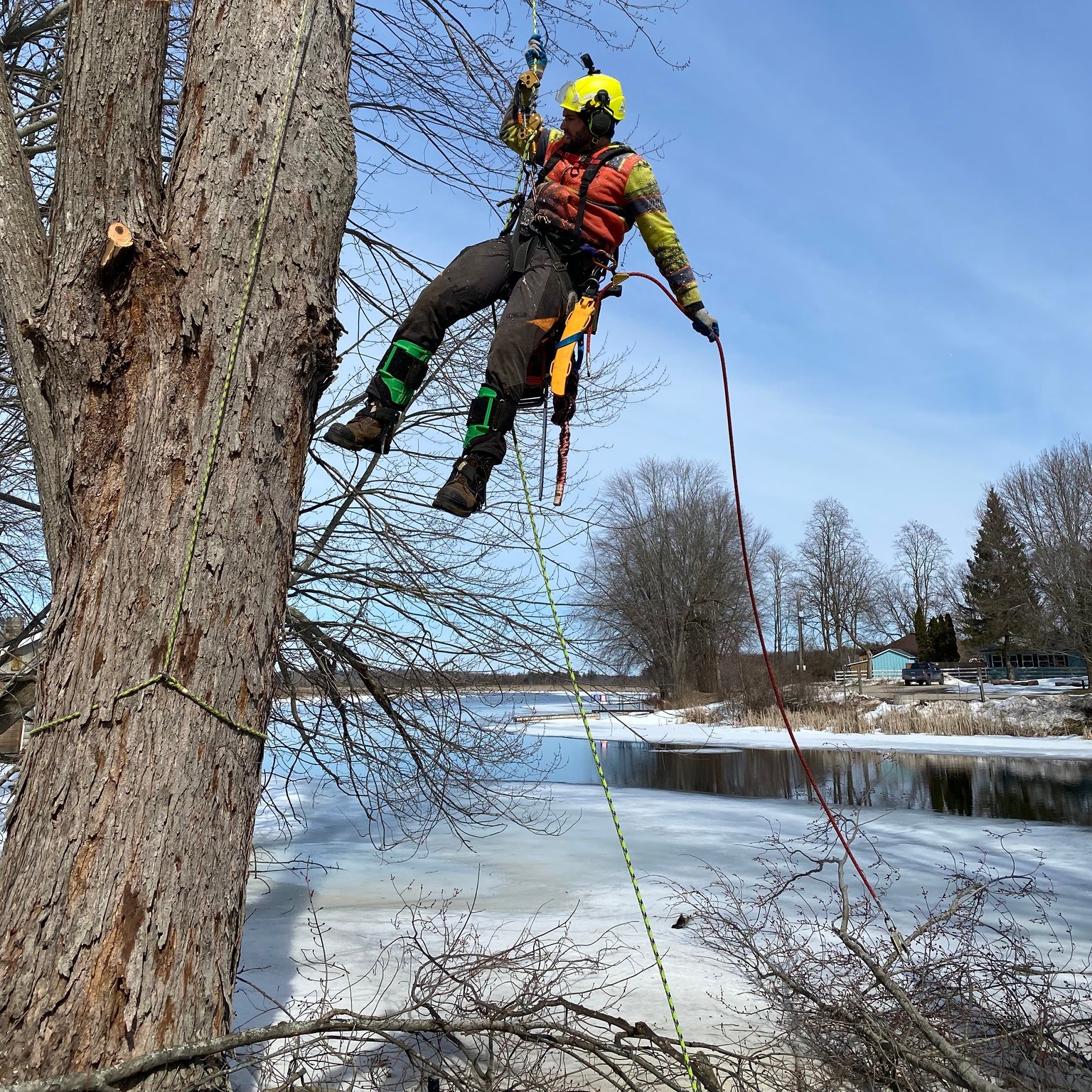 Ruby’s Tree Care | Napanee ON