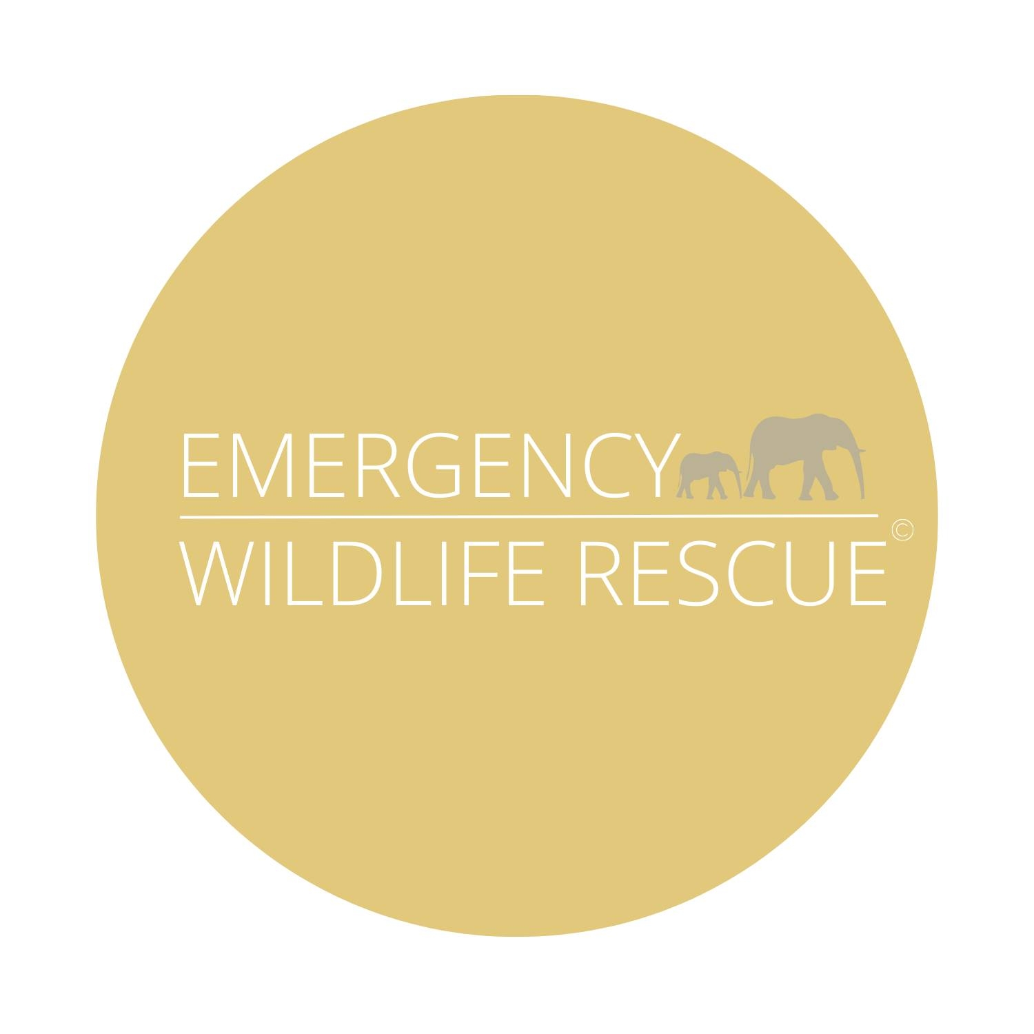 Emergency - Today, we mourn the loss of a truly extraordinary legend ...