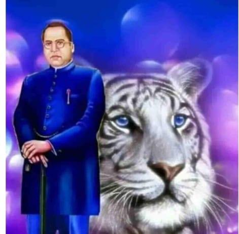 pardeep raj | Bihar Sharif